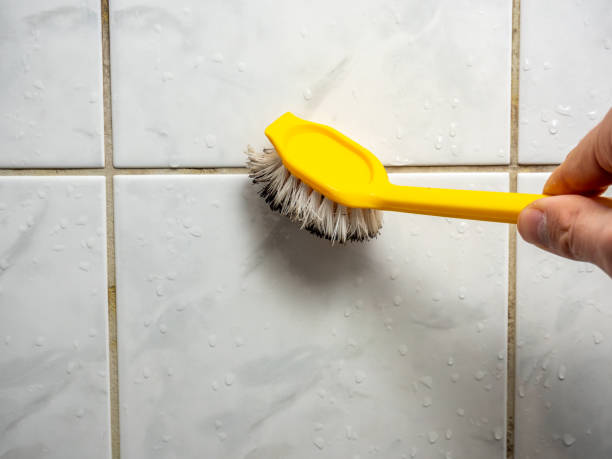 Best Professional Mold Removal  in Ofallon, IL